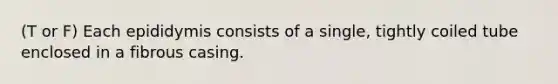 (T or F) Each epididymis consists of a single, tightly coiled tube enclosed in a fibrous casing.