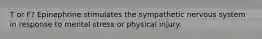 T or F? Epinephrine stimulates the sympathetic nervous system in response to mental stress or physical injury.