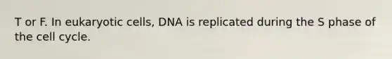 T or F. In eukaryotic cells, DNA is replicated during the S phase of the cell cycle.