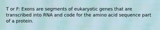 T or F: Exons are segments of eukaryotic genes that are transcribed into RNA and code for the amino acid sequence part of a protein.