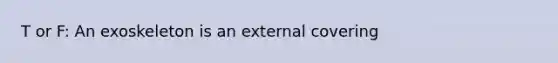 T or F: An exoskeleton is an external covering