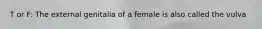 T or F: The external genitalia of a female is also called the vulva