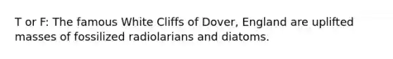 T or F: The famous White Cliffs of Dover, England are uplifted masses of fossilized radiolarians and diatoms.