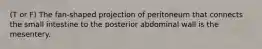 (T or F) The fan-shaped projection of peritoneum that connects the small intestine to the posterior abdominal wall is the mesentery.