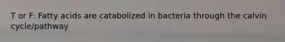 T or F: Fatty acids are catabolized in bacteria through the calvin cycle/pathway