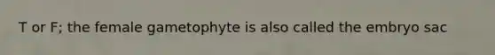 T or F; the female gametophyte is also called the embryo sac