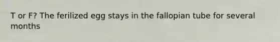 T or F? The ferilized egg stays in the fallopian tube for several months