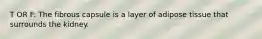 T OR F: The fibrous capsule is a layer of adipose tissue that surrounds the kidney.