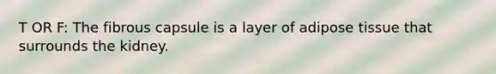 T OR F: The fibrous capsule is a layer of adipose tissue that surrounds the kidney.