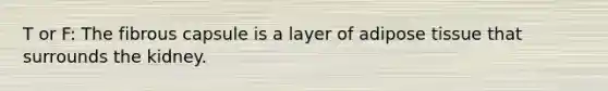 T or F: The fibrous capsule is a layer of adipose tissue that surrounds the kidney.