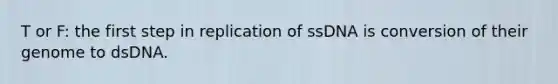 T or F: the first step in replication of ssDNA is conversion of their genome to dsDNA.