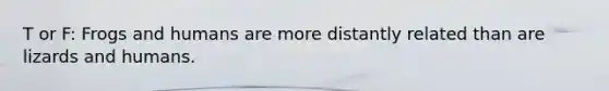 T or F: Frogs and humans are more distantly related than are lizards and humans.
