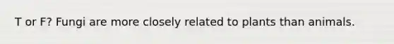 T or F? Fungi are more closely related to plants than animals.