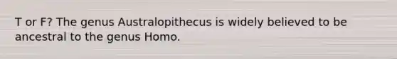 T or F? The genus Australopithecus is widely believed to be ancestral to the genus Homo.