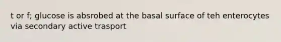 t or f; glucose is absrobed at the basal surface of teh enterocytes via secondary active trasport