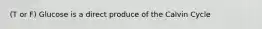 (T or F) Glucose is a direct produce of the Calvin Cycle