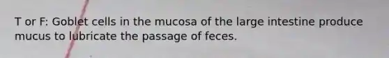 T or F: Goblet cells in the mucosa of the <a href='https://www.questionai.com/knowledge/kGQjby07OK-large-intestine' class='anchor-knowledge'>large intestine</a> produce mucus to lubricate the passage of feces.