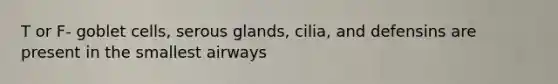 T or F- goblet cells, serous glands, cilia, and defensins are present in the smallest airways