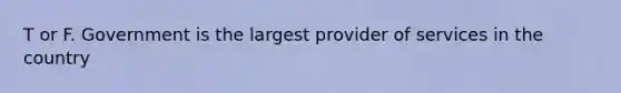 T or F. Government is the largest provider of services in the country