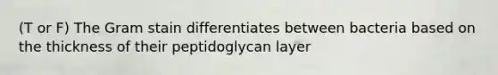 (T or F) The Gram stain differentiates between bacteria based on the thickness of their peptidoglycan layer