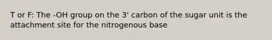 T or F: The -OH group on the 3' carbon of the sugar unit is the attachment site for the nitrogenous base