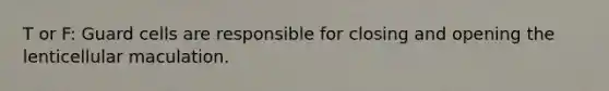 T or F: Guard cells are responsible for closing and opening the lenticellular maculation.