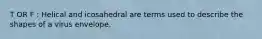 T OR F : Helical and icosahedral are terms used to describe the shapes of a virus envelope.