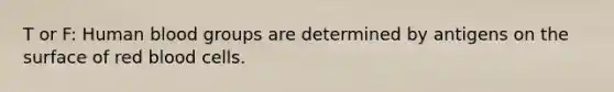 T or F: Human <a href='https://www.questionai.com/knowledge/kYZPOX2Y3u-blood-groups' class='anchor-knowledge'>blood groups</a> are determined by antigens on the surface of red blood cells.