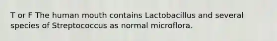 T or F The human mouth contains Lactobacillus and several species of Streptococcus as normal microflora.