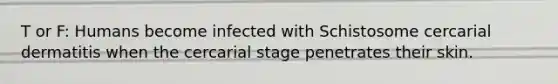 T or F: Humans become infected with Schistosome cercarial dermatitis when the cercarial stage penetrates their skin.