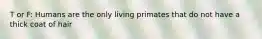 T or F: Humans are the only living primates that do not have a thick coat of hair