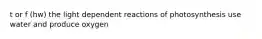 t or f (hw) the light dependent reactions of photosynthesis use water and produce oxygen