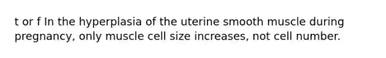 t or f In the hyperplasia of the uterine smooth muscle during pregnancy, only muscle cell size increases, not cell number.