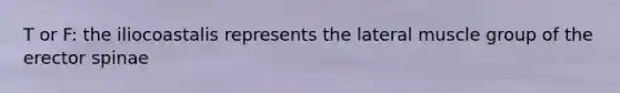 T or F: the iliocoastalis represents the lateral muscle group of the erector spinae