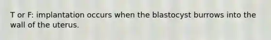 T or F: implantation occurs when the blastocyst burrows into the wall of the uterus.