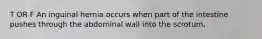 T OR F An inguinal hernia occurs when part of the intestine pushes through the abdominal wall into the scrotum.