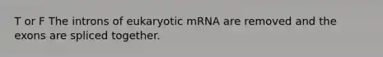 T or F The introns of eukaryotic mRNA are removed and the exons are spliced together.