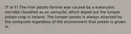 (T or F) The Irish potato famine was caused by a eukaryotic microbe classified as an oomycte, which wiped out the lumper potato crop in Ireland. The lumper potato is always attacked by the oomycete regardless of the environment that potato is grown in.