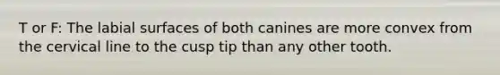 T or F: The labial surfaces of both canines are more convex from the cervical line to the cusp tip than any other tooth.