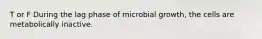 T or F During the lag phase of microbial growth, the cells are metabolically inactive.