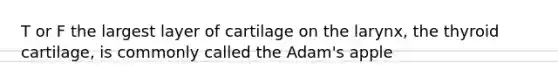 T or F the largest layer of cartilage on the larynx, the thyroid cartilage, is commonly called the Adam's apple