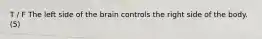 T / F The left side of the brain controls the right side of the body. (5)