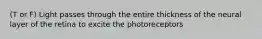 (T or F) Light passes through the entire thickness of the neural layer of the retina to excite the photoreceptors