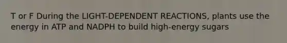 T or F During the LIGHT-DEPENDENT REACTIONS, plants use the energy in ATP and NADPH to build high-energy sugars