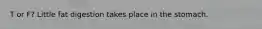 T or F? Little fat digestion takes place in the stomach.