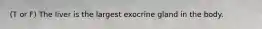 (T or F) The liver is the largest exocrine gland in the body.