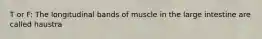 T or F: The longitudinal bands of muscle in the large intestine are called haustra
