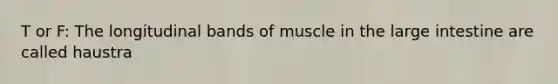 T or F: The longitudinal bands of muscle in the large intestine are called haustra