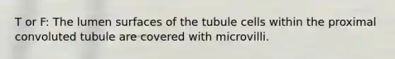 T or F: The lumen surfaces of the tubule cells within the proximal convoluted tubule are covered with microvilli.