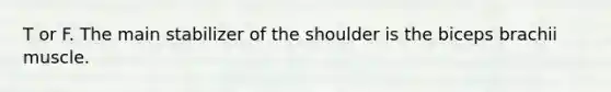 T or F. The main stabilizer of the shoulder is the biceps brachii muscle.